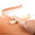 Riemenschneider / Strapcutter