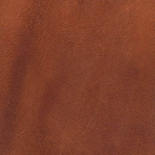 walnut / walnuss
